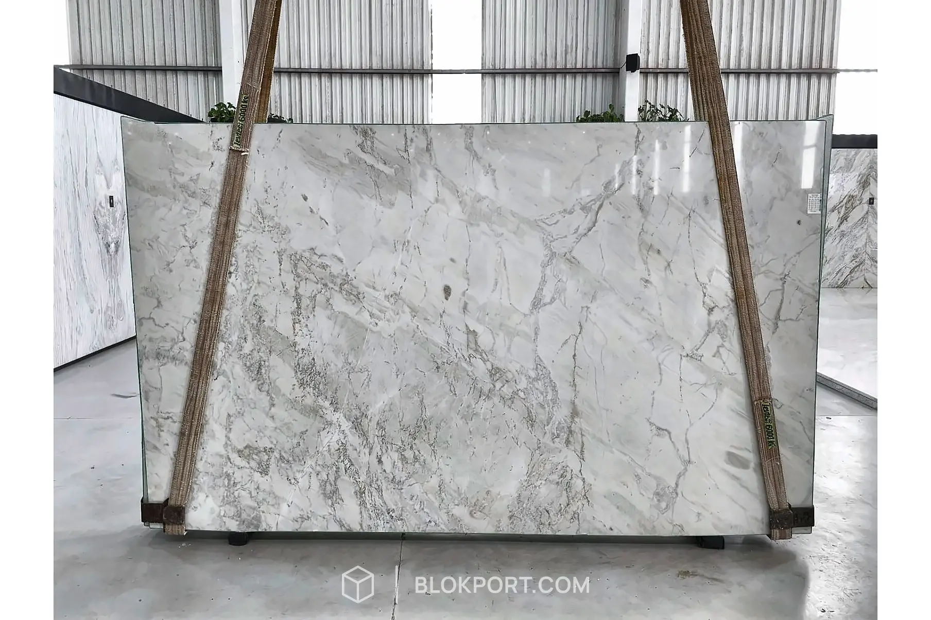 Celline Polished
