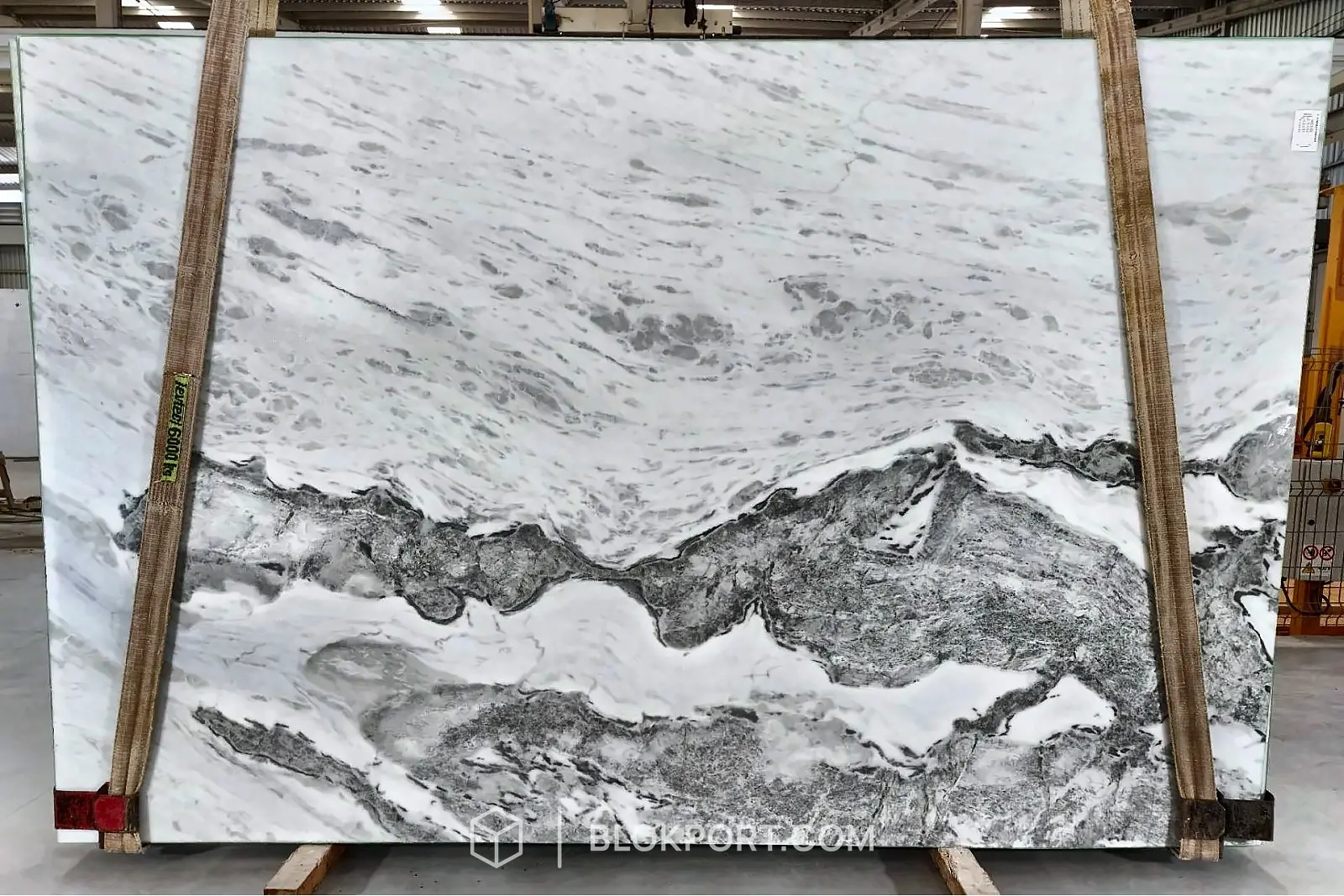 Calacatta Fantasy Polished