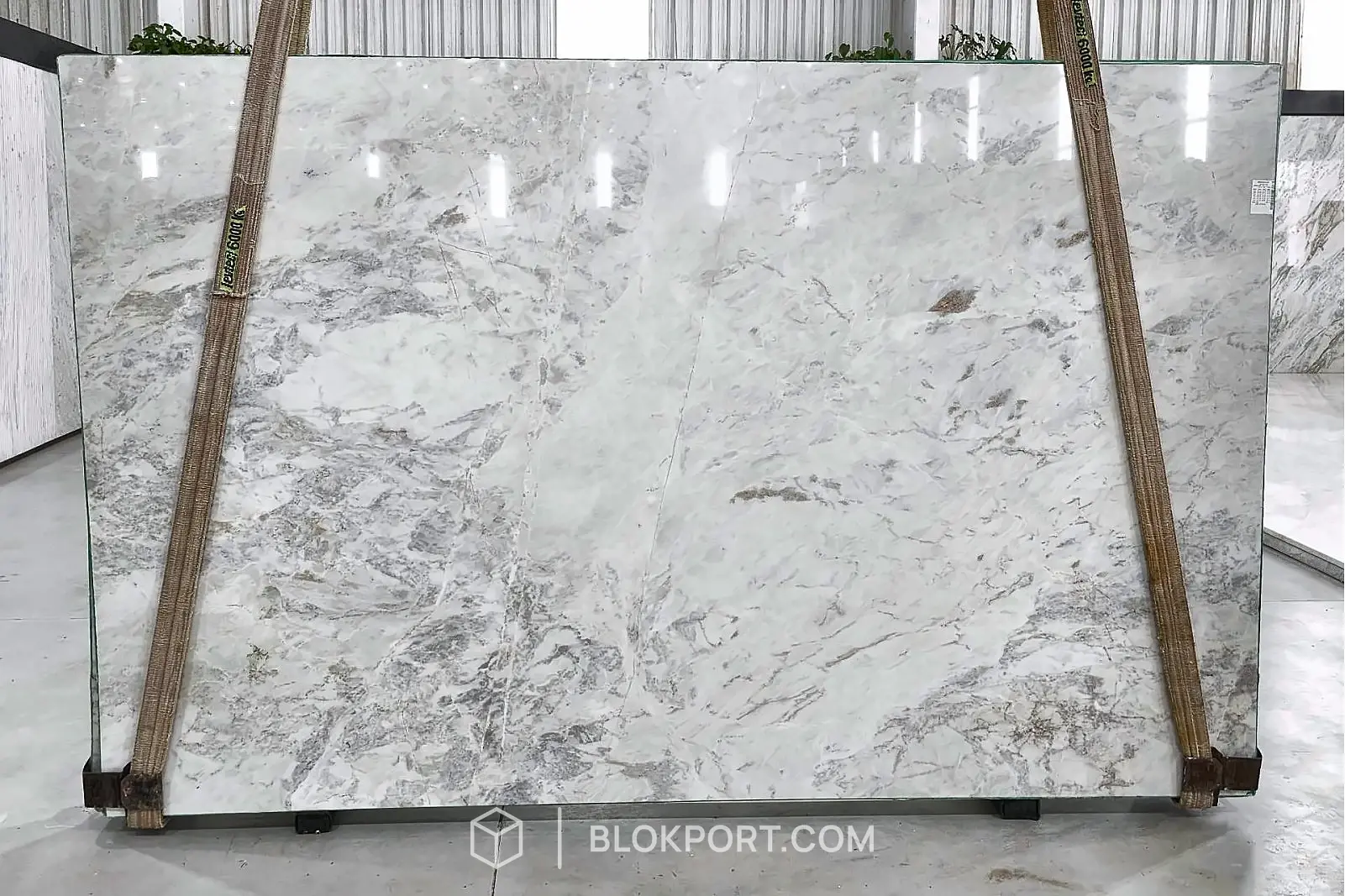 Celline Polished