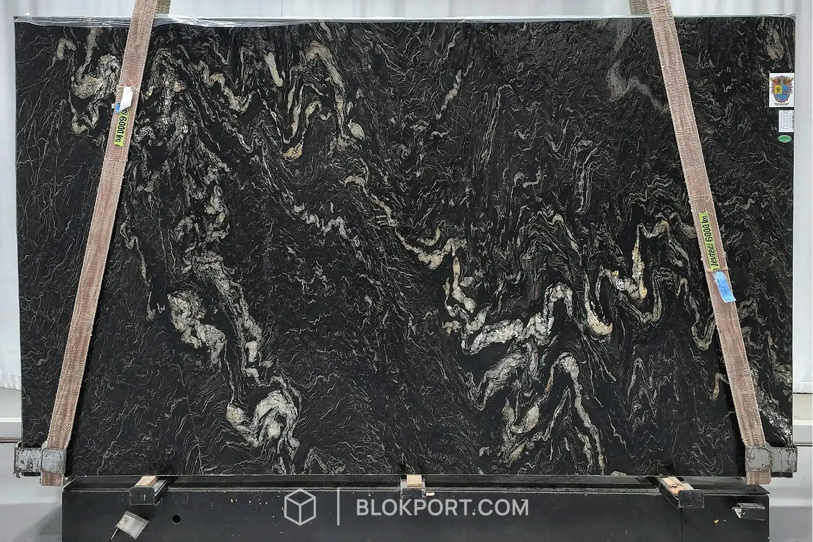 Black Cosmic Leathered