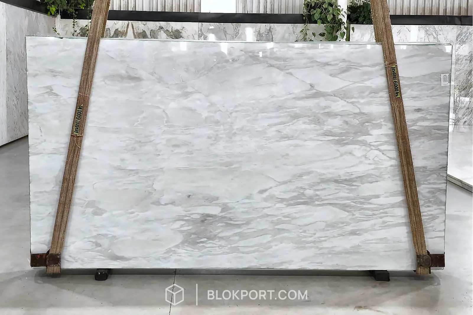 Namib Calacatta Polished