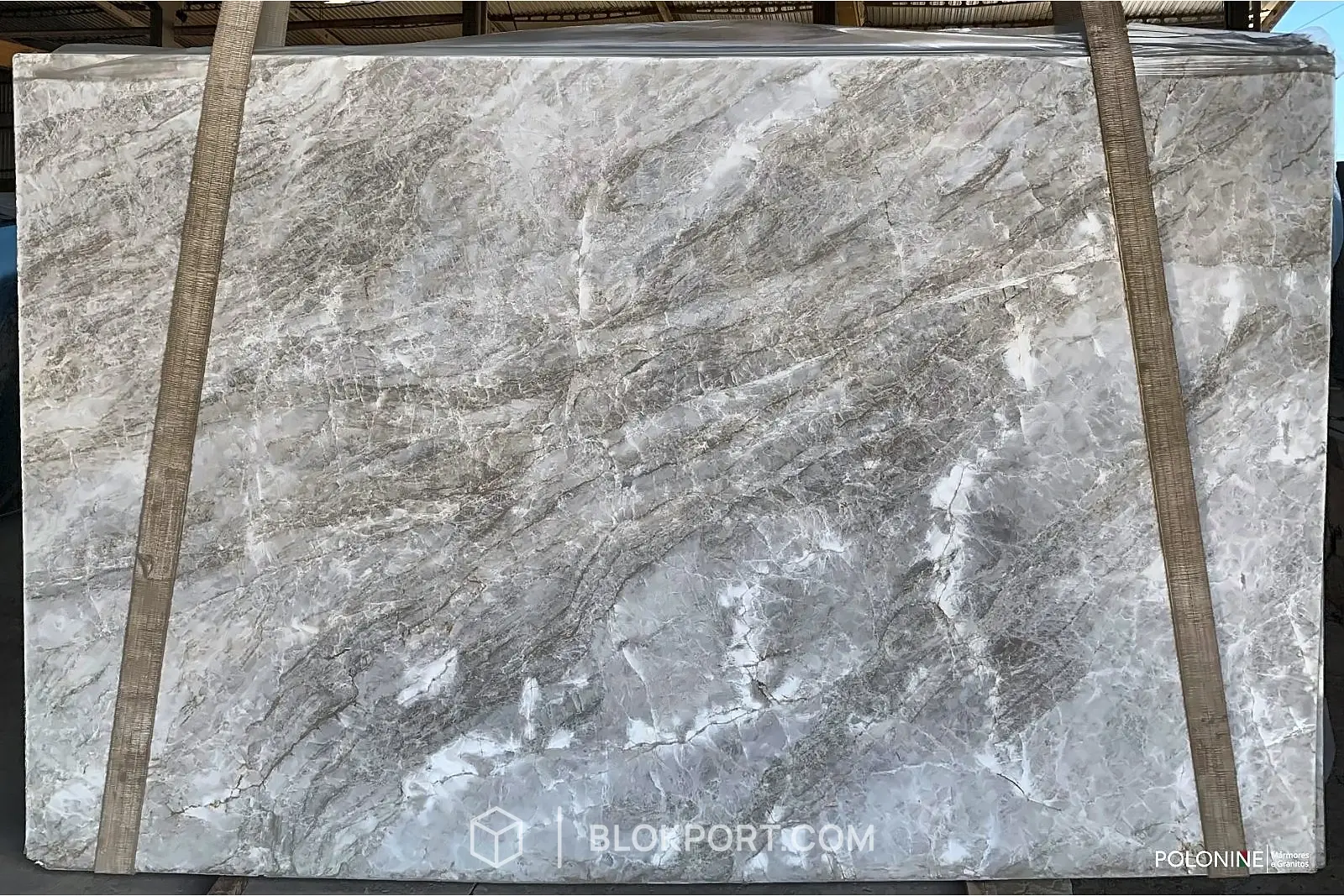Taj Mahal Polished