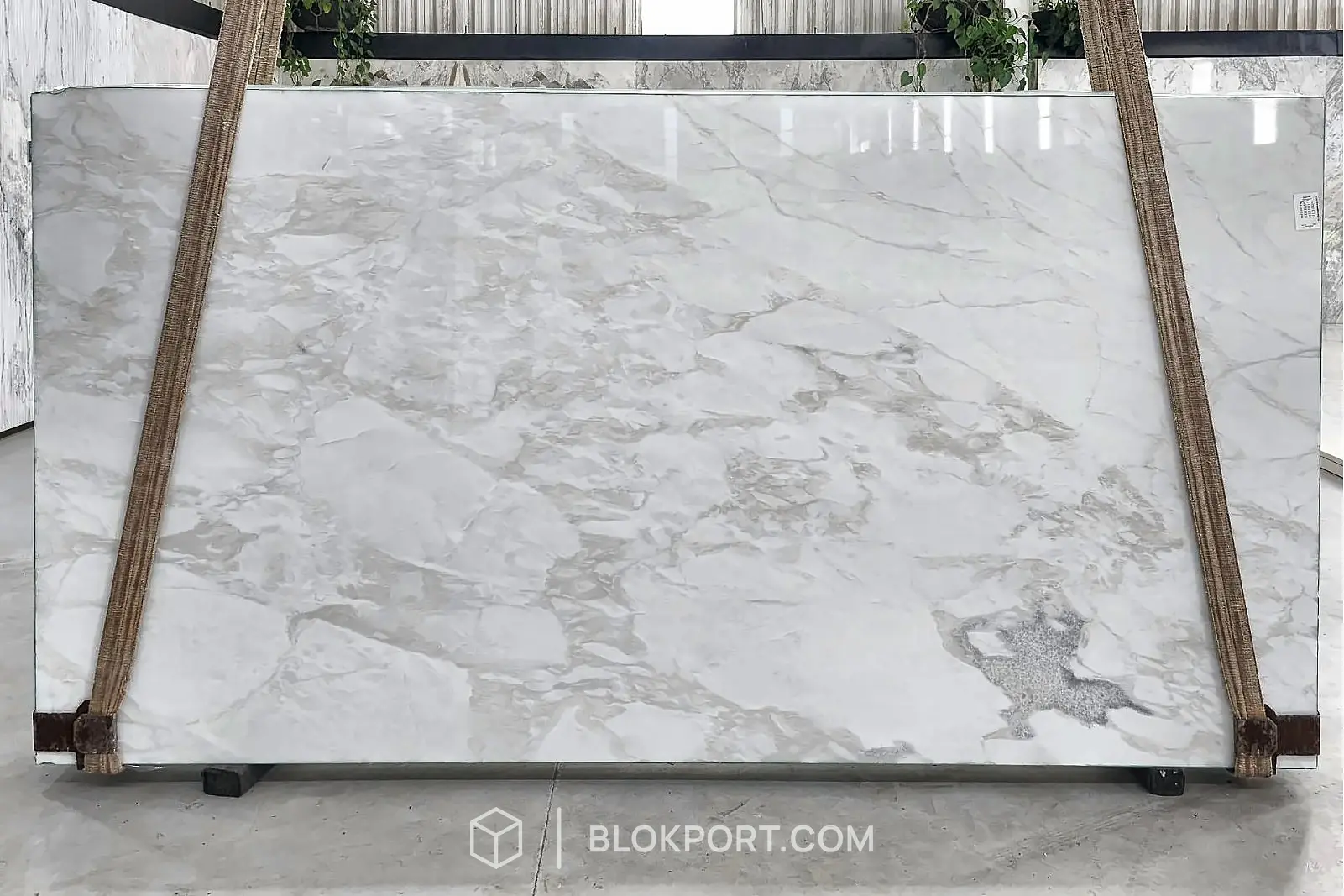 Namib Calacatta Polished
