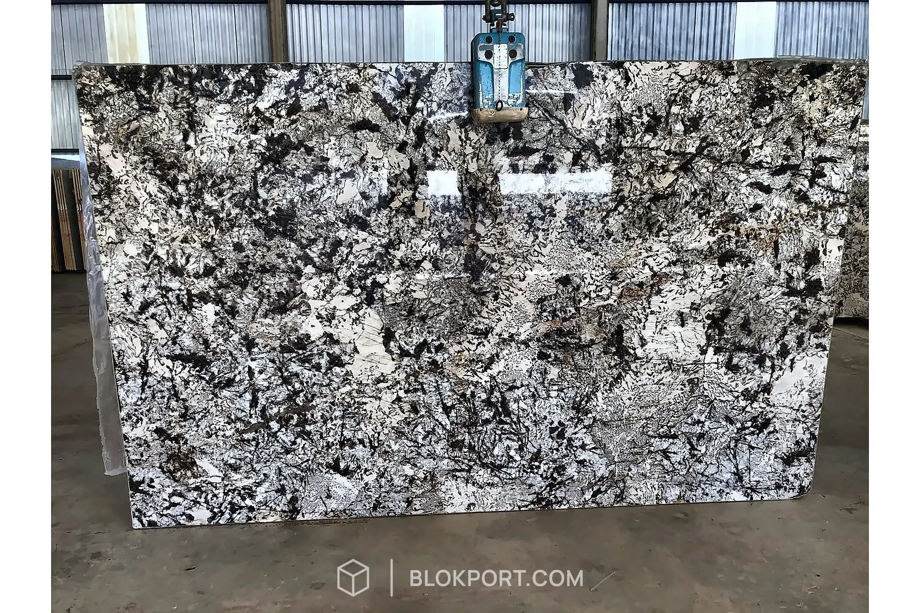 Delicatus Cream Polished