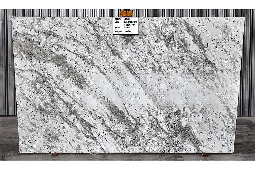 Andromeda White Polished