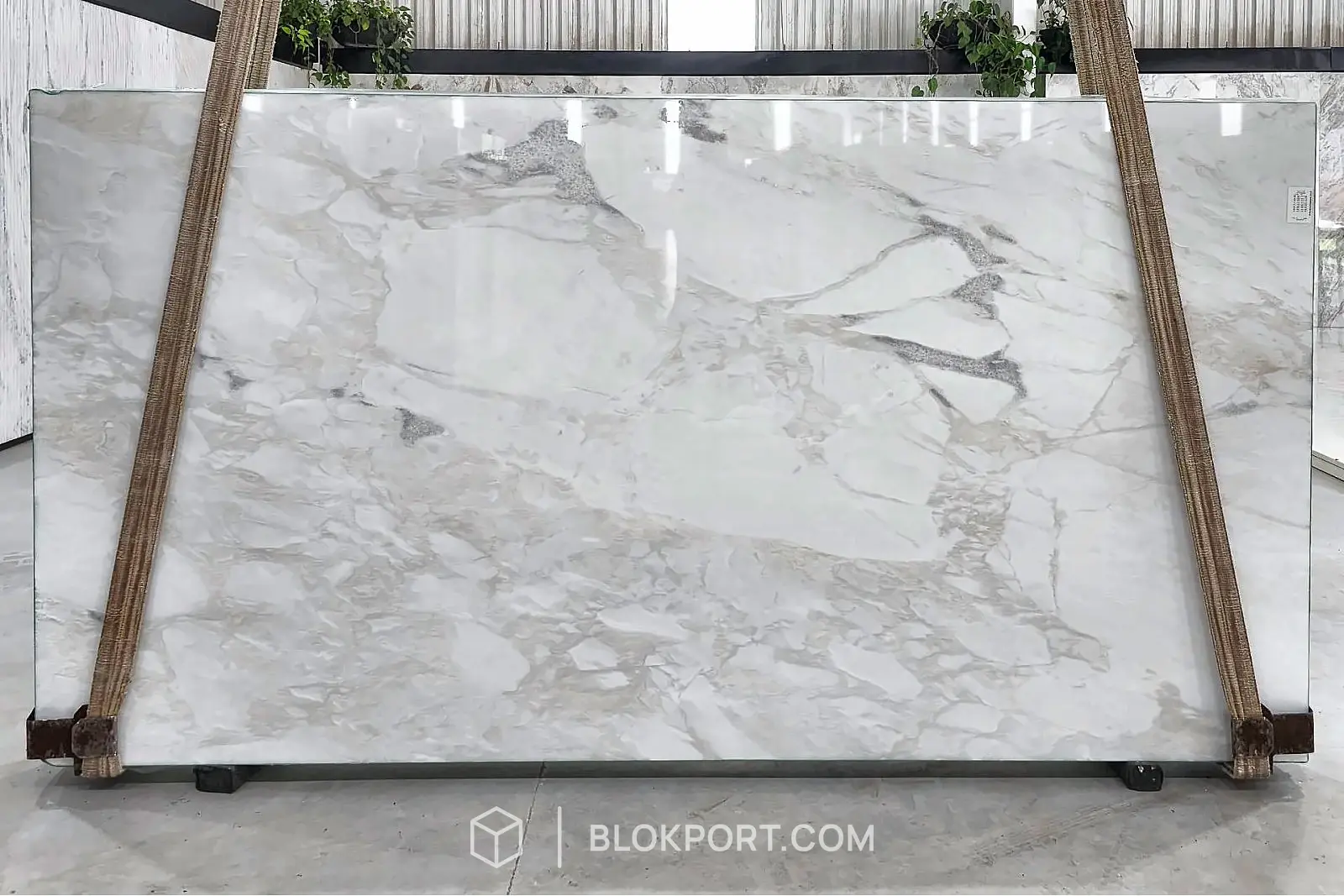 Namib Calacatta Polished
