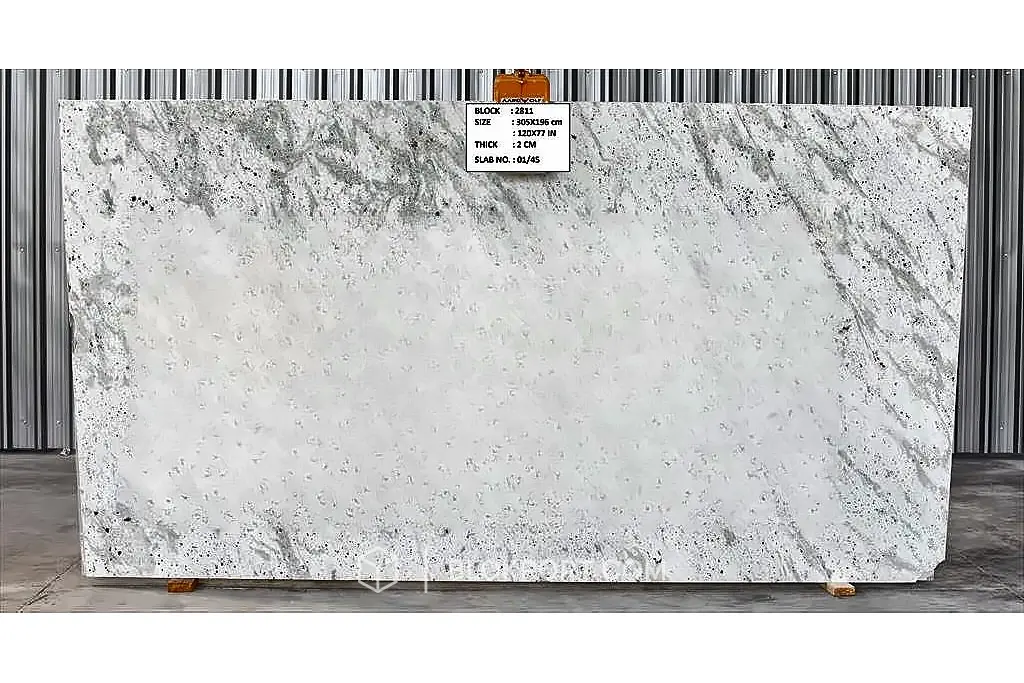 Andromeda White Polished