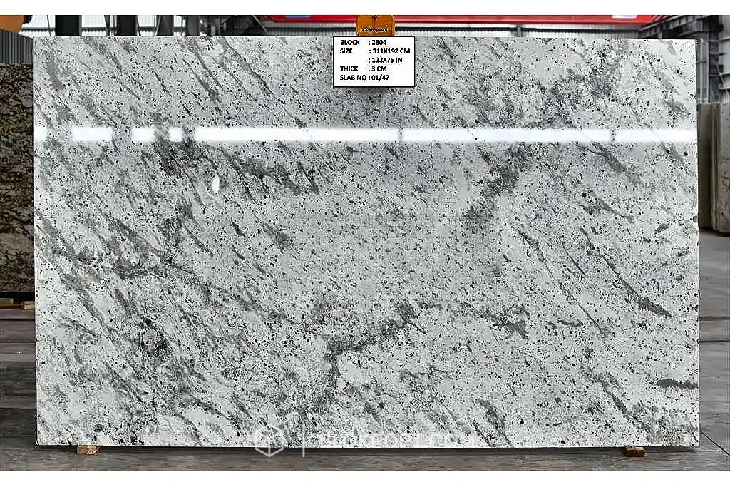 Andromeda White Polished
