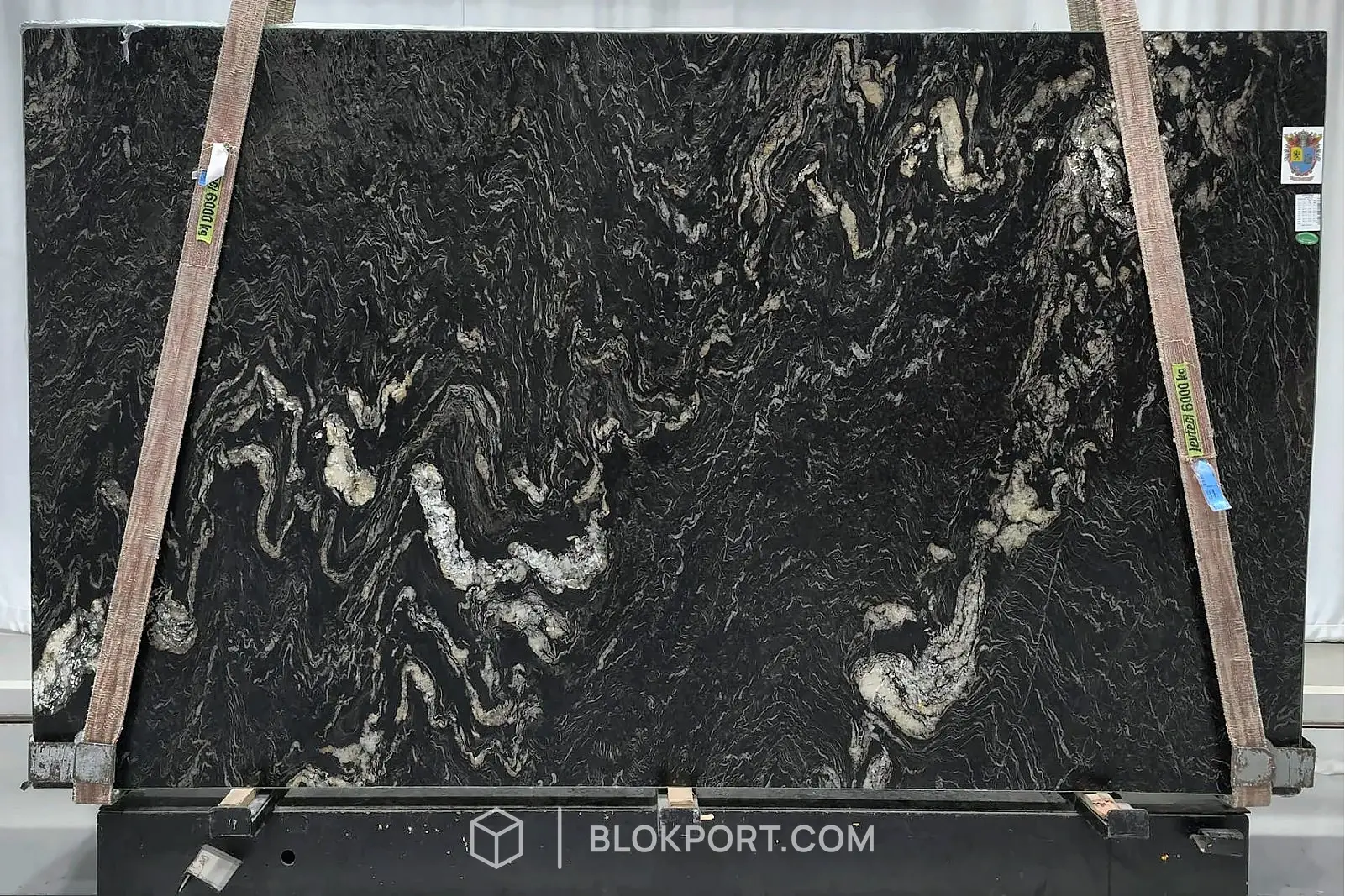 Black Cosmic Leathered