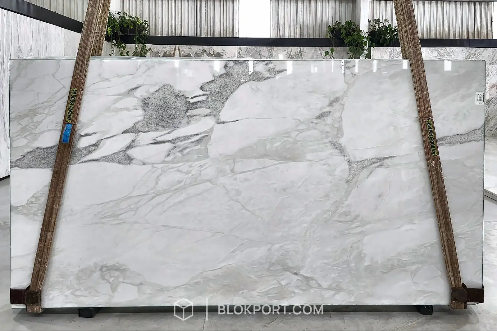 Namib Calacatta Polished