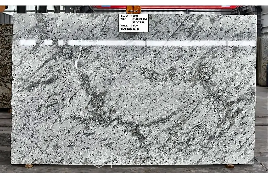 Andromeda White Polished
