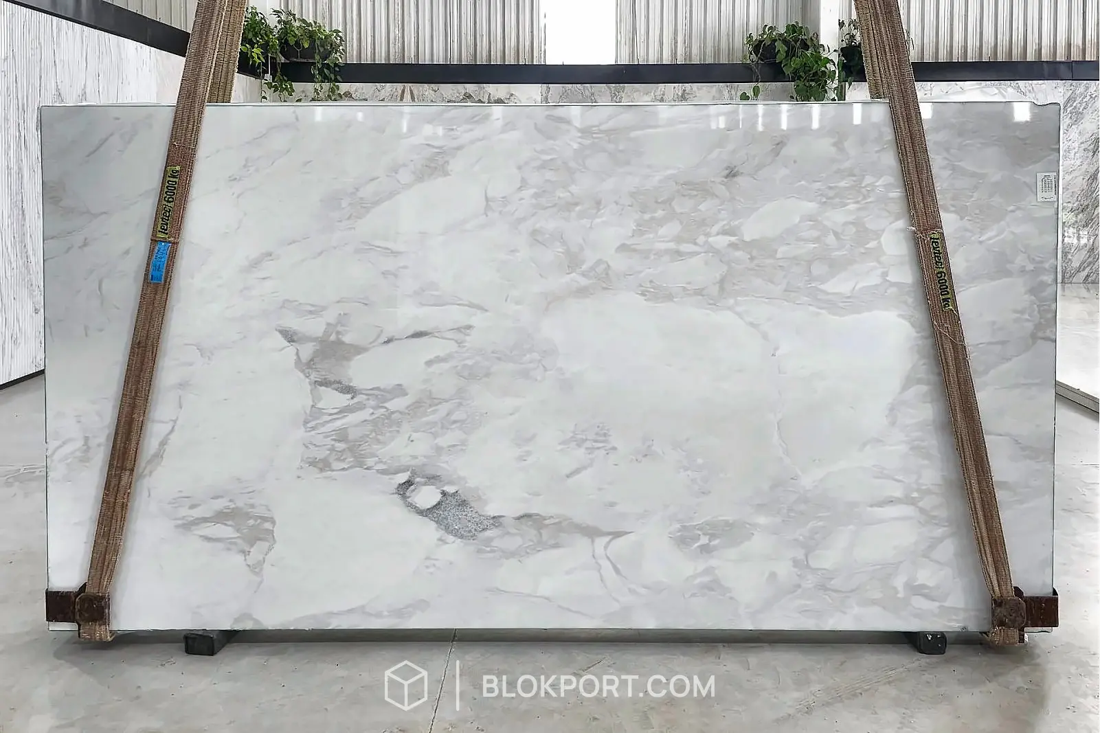 Namib Calacatta Polished