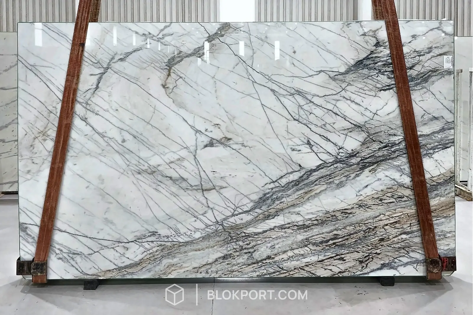 Venatino Polished