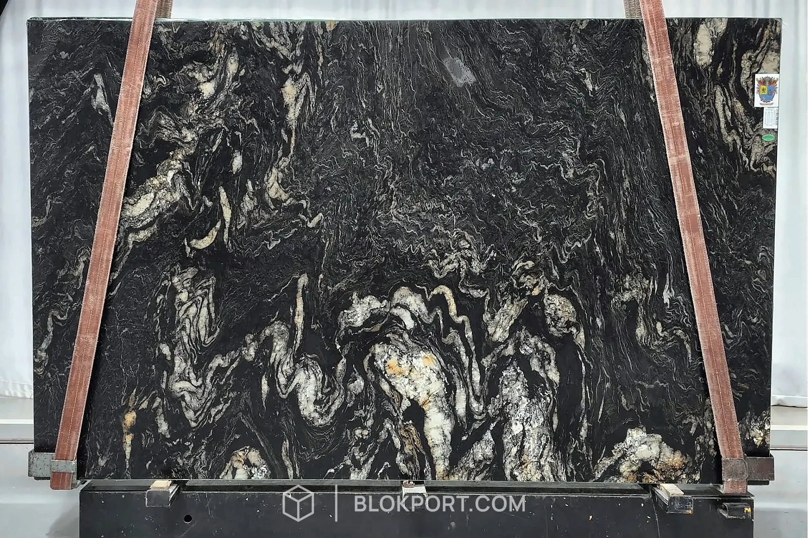 Black Cosmic Leathered
