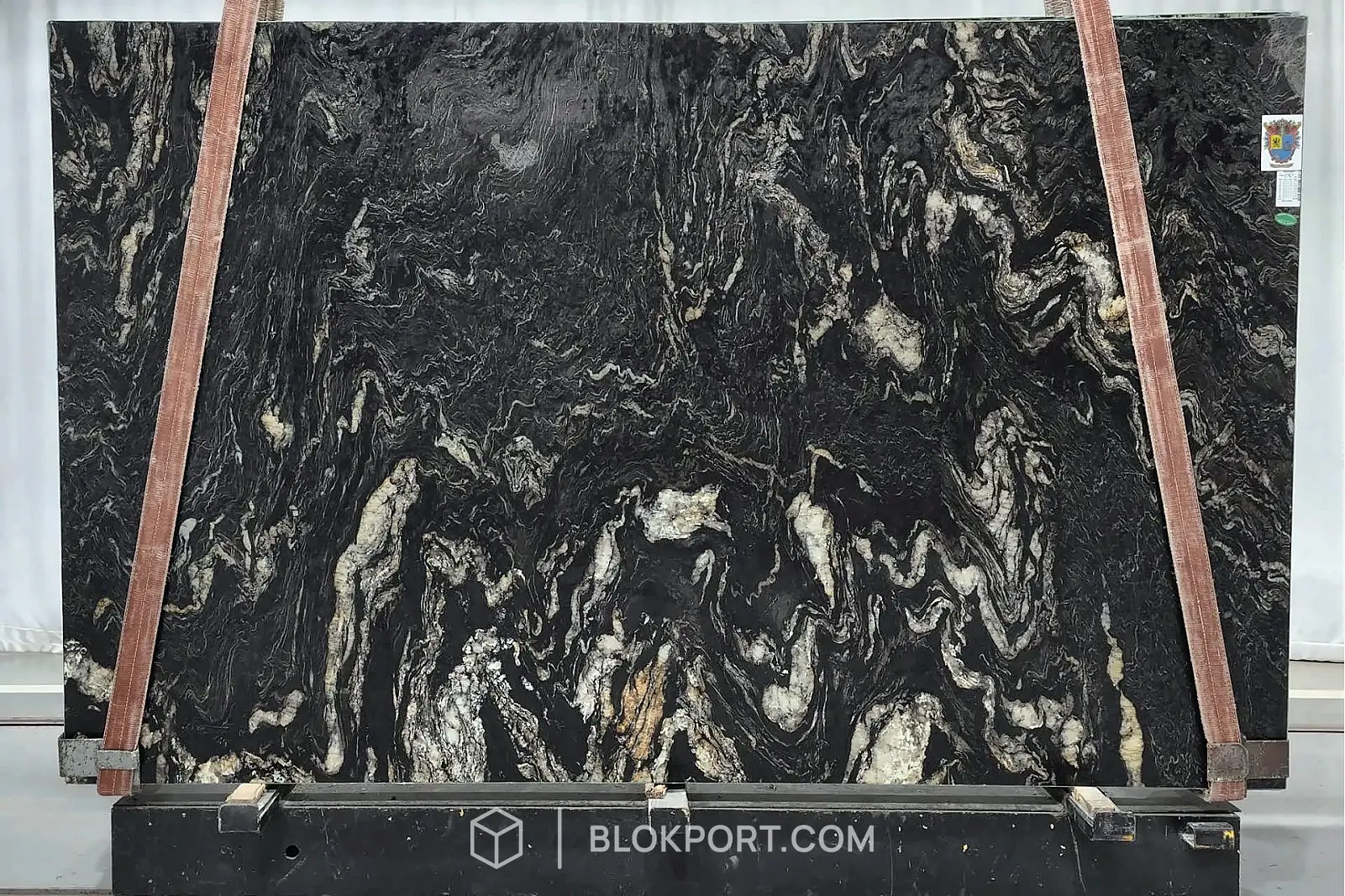Black Cosmic Leathered