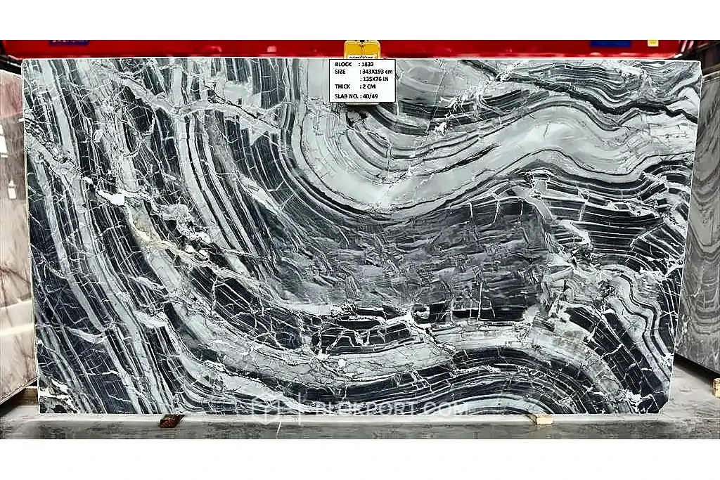 Royal Oyster Polished