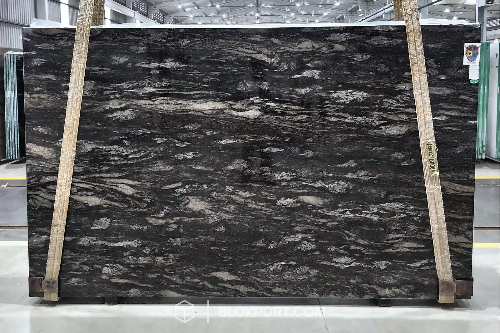 Metalicus Polished