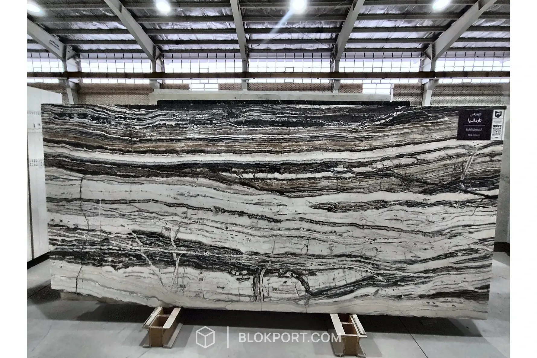 Black Traonyx Polished
