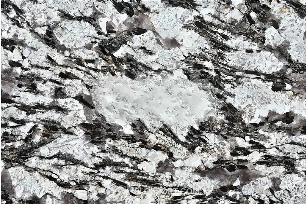 Splendor White Polished